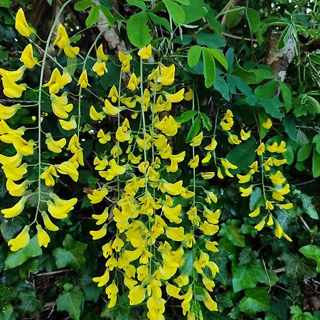 Casa Marina La Posta