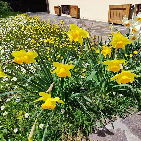 Prázdninový dům Casa Marina La Posta