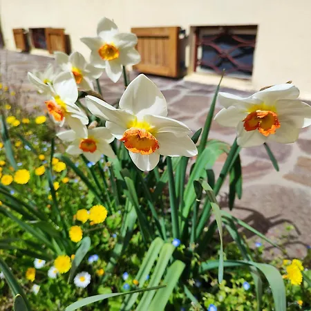 Casa Marina Prázdninový dům La Posta