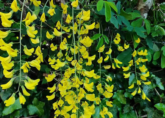 Casa Marina La Posta