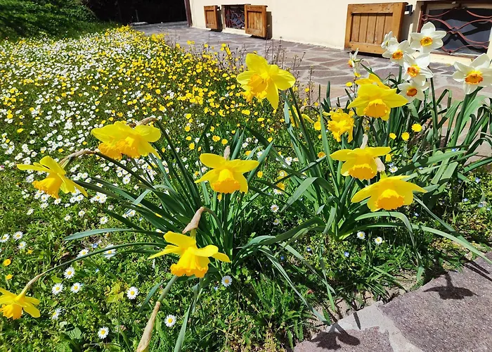 Σπίτι διακοπών Casa Marina La Posta