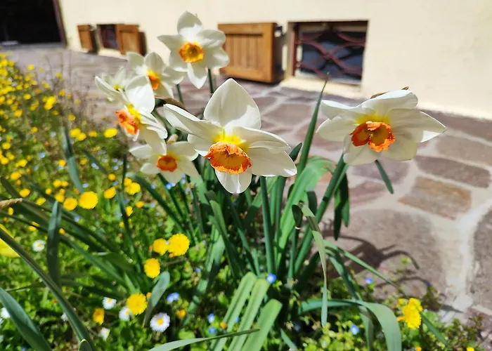 Casa Marina Feriehus La Posta